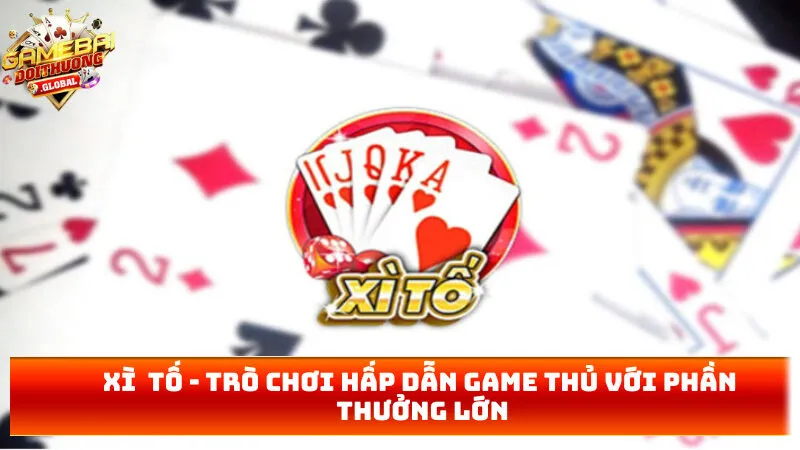 xì tố
